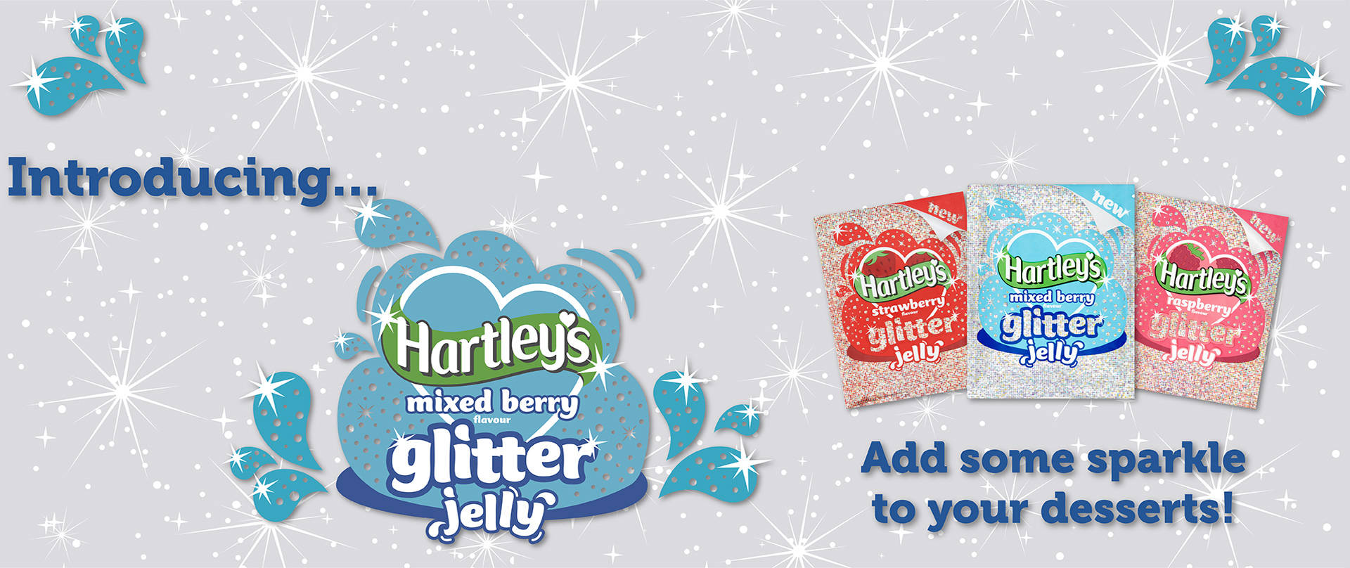 Hartley's Raspberry Jam 20g Portions